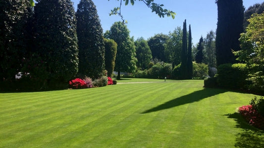 La Concimazione Fogliare Rinverdente in Primavera sul Prato
