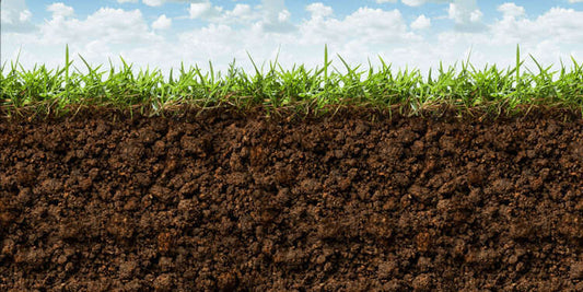 L'Importanza dell'Analisi del Terreno per un Prato Perfetto