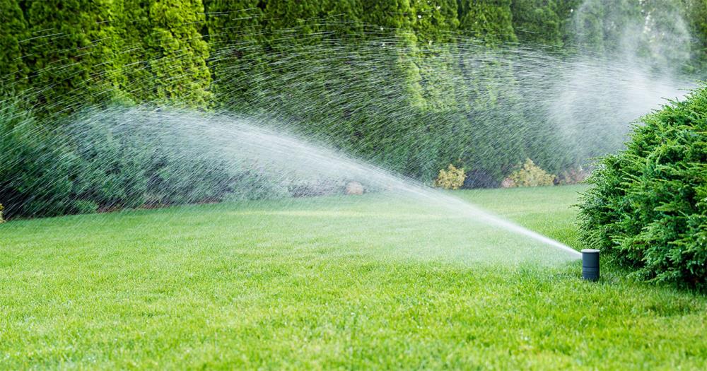 Come irrigare il Prato del Giardino in Estate