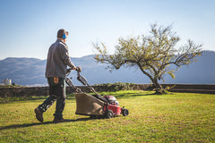 Gestione del prato: Fai da Te o Assumere un Giardiniere Professionista?